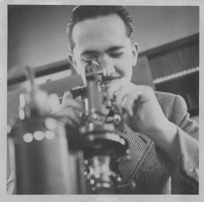 Pierre Louis de Leuze looking into microscope 1947